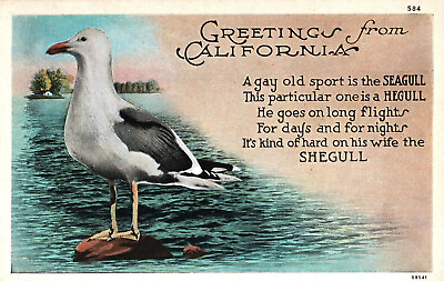 #ad VINTAGE POSTCARD GREETINGS FROM CALIFORNIA CARD WITH HEAGULL SEAGULL HUMOR $13.25