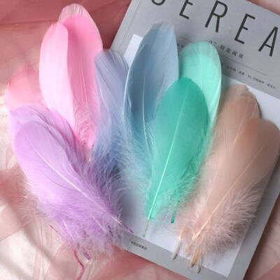 #ad Colored Party Crafts Feathers DIY Craft Home Clothes Decorations Goose Feather $12.86