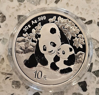 #ad GEM 2024 China 30 gram .999 Fine Silver Panda 10 Yuan in Capsule FREE SHIPPING $39.99