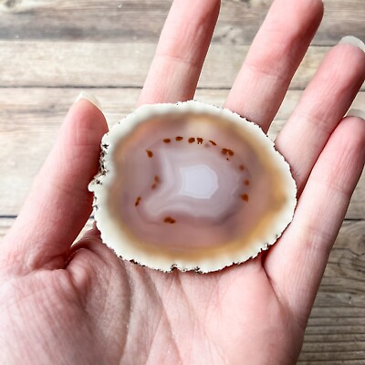 #ad #ad Natural Agate Slice with Quartz Crystal Druzy Geode Center $5.50