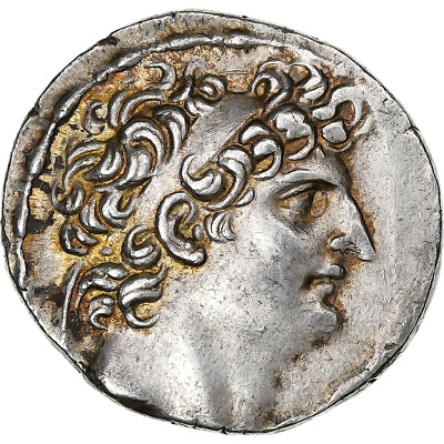 #ad #1276823 Seleukid Kingdom Antiochos VIII Epiphanes Tetradrachm 121 0 113 BC $1547.00