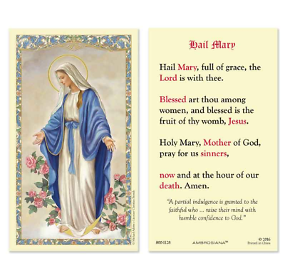 #ad Laminated quot;Hail Maryquot; Holy Prayer Card Catholic Our Lady of Grace Image $2.79