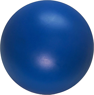 #ad Virtually Indestructible Best Ball for Dogs 10Inch Dogs Who Love Pushing Herdin $25.33