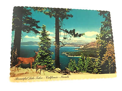 #ad Lake Tahoe California Nevada Postcard Photo Dexter Supreme Deer Wildlife Vintage $295.00