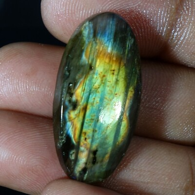 #ad 23.30Cts Brilliant Stone Multi Fire Spectrolite Labradorite Cabochon Loose Gems $5.98