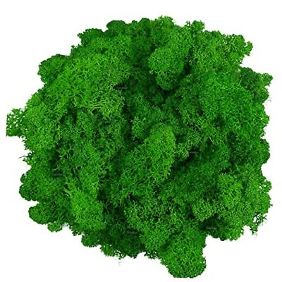 #ad Moss Preserved Artificial Moss Natural Fresh Green Moss for 3.5oz Midgreen $22.38