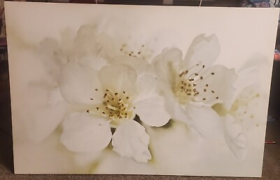 #ad canvas wall art with frame flowers $75.00