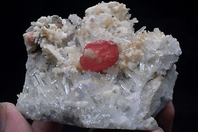 #ad 254g Natural Rhodochrosite crystal Mineral Specimens China Sweet Home Mine $999.00