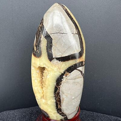 #ad Natural Dragon Septarian Geode Egg Quartz Crystal Rock Reiki Healing 841G $71.99