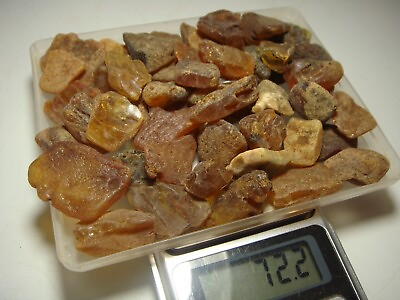 #ad AMBER raw baltic stones bernstein natural bursztyn baltycki genuine 琥珀 e714 $12.90