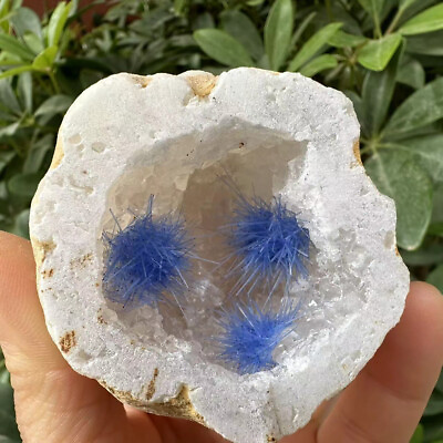#ad 1pc Natural Agate Geode Quartz Crystal Energy Mineral Specimen Reiki Decor $27.26