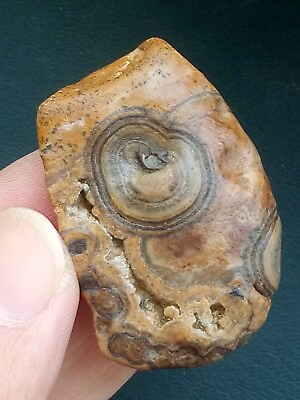 #ad 45mm Natural Gobi Agate eye stone Suiseki viewing collection specimen $16.70