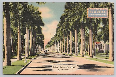 #ad Royal Palm Boulevard Coral Springs Florida FL 1940s Postcard $3.49