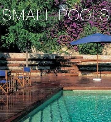 #ad Small Pools Paperback By Tagavi Fanny GOOD $10.68
