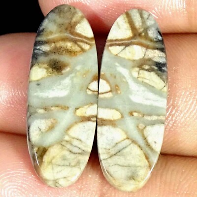 #ad 22.10Cts Natural Picasso Jasper Pair Oval Cabochon Loose Gemstones $6.99