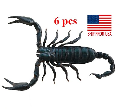 #ad 6 Real Giant Scorpion Mounted 7” or 17cm Large Beetle Insect Bug Entomology $39.00