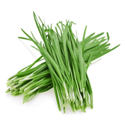 #ad 5gram 1000pcs Chinese Chives Seeds Chinese Leek Seeds $2.59