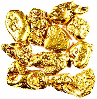 #ad Tiny Raw Natural Alaskan Gold gems Alaskan Gold 10 pcs rock collection specimen $24.99