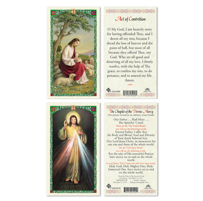 #ad Laminated Act of Contrition AND Chaplet of Divine Mercy Prayer Card Set Catholic $4.99