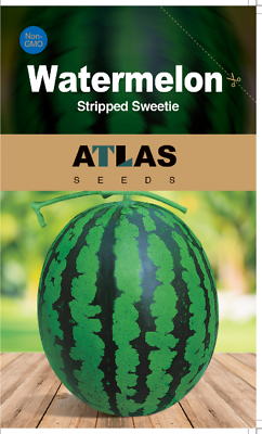 #ad Watermelon Stripped Sweetie $2.99