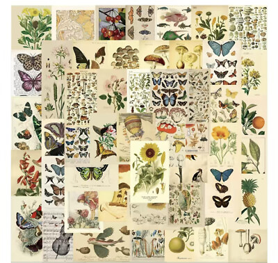 #ad 10pcs Vintage Botanical Mushroom Butterfly Stickers Scrapbooking Journaling. $2.99