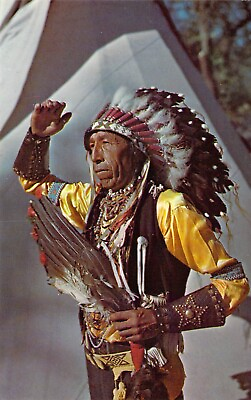 #ad 1964 Indian Chief in Full Dress Vintage Native American Mint postcard A52 $4.99