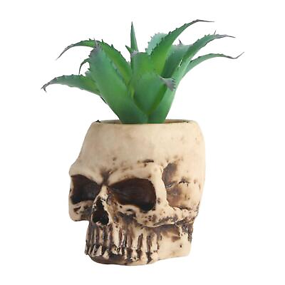 #ad Cute Succulent Plant Flower Pot Container Garden Planter Home Office Decor $13.97