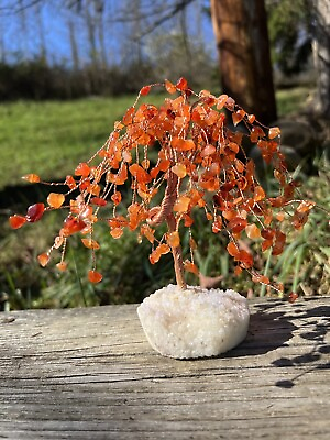 #ad Carnelian Crystal Tree Beautiful 5.3” 323.88g Aura Quartz Carnelian Bonsai Tree $24.95