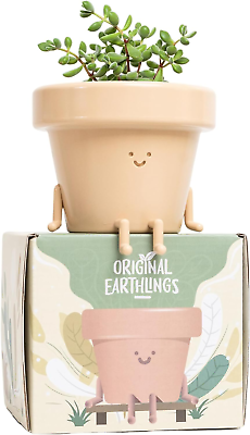 #ad Sitting Pot Cute Plant Pot 3.5 Inch Plastic Funny Planter with Drainage Uniqu $30.88