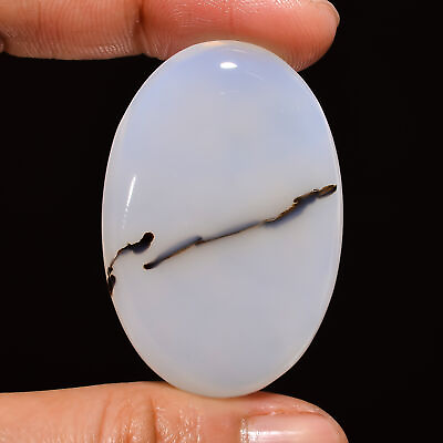 #ad Natural Dendrite Agate Oval Shape Cabochon Gemstone 59 Ct. 41X28X6 mm EE 23119 $3.60
