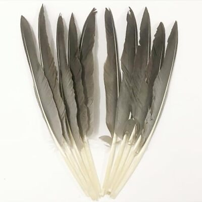 #ad 50Pcs Grey Feathers 10 12 inchesBeautiful Grey Long Feather for Crafts 26 31c... $25.78