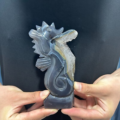 #ad 0.9LB5.9quot;Natural Grey Agate Sea Horse Crystal Craft Decor Healing Reiki Quartz $53.90