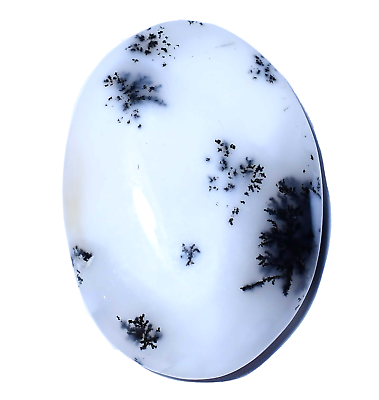 #ad Natural Dendrite Opal 37.30 Ct Designer African Cabochon Untreated Gemstone $13.22