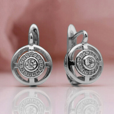 #ad Elegant 925 SilverRose Gold Hoop Earring Women Cubic Zircon Jewelry Gift C $3.10