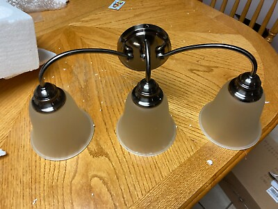 #ad #ad Doraimi Light Brushed Nickel Vanity Lighting. It has 3 frosted shades. $40.00