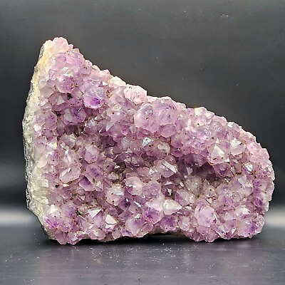 #ad 🔥HUGE Brazil Amethyst Crystal Cluster 10quot;×7.5quot; 9Lbs 5ozs Freshly Unearthed 🔥 $249.99