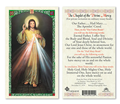 #ad Laminated Chaplet of Divine Mercy Jesus Responses Holy Prayer Card Catholic $2.75