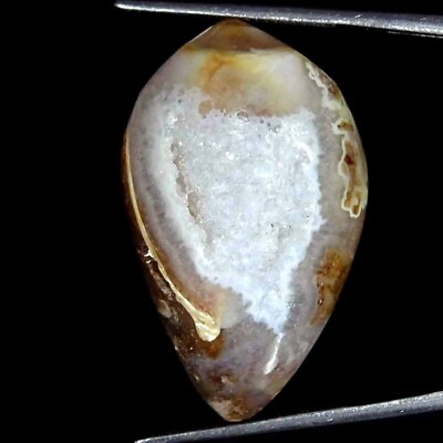 #ad 57.20Cts Natural Fossil Snail Druzy Agate Loose Gemstone $6.99