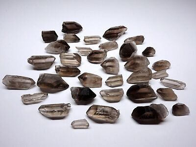 #ad Smoky Quartz Points Collection 1 4 LB Natural Clear Brown Crystals Brazil $11.21