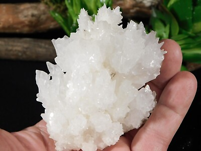 #ad 100% Natural Aragonite CAVE STALACTITE Crystal Cluster Chihuahua Mexico 236gr $29.99