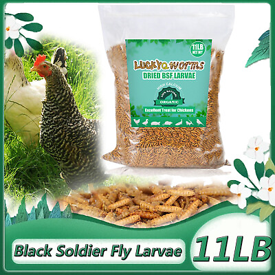 #ad 11 LB Dried Black Soldier Fly Larvae Mealworms for Chickens Bird Natural Premium $49.95