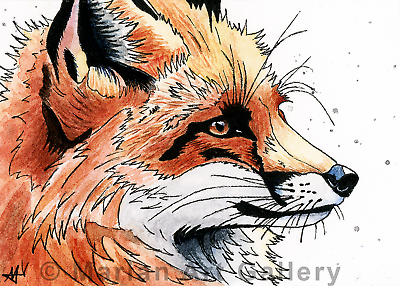#ad ACEO Red Fox Print Original Limited Edition Art Print Red Fox by MARIAN C $12.07