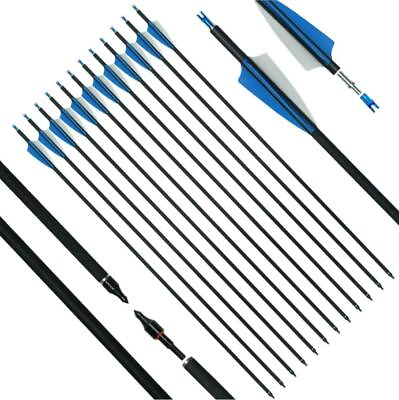 #ad 12 Pack Archery 31Inch Carbon Arrow Practice Hunting Arrows $18.99