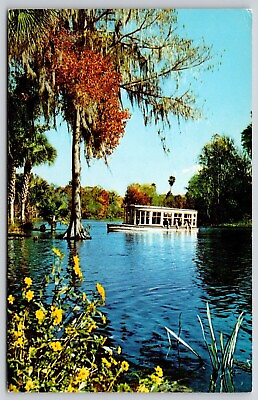 #ad Glass Bottom Boats Silver River Florida Springs Ocala Reflectioin VNG Postcard $7.99