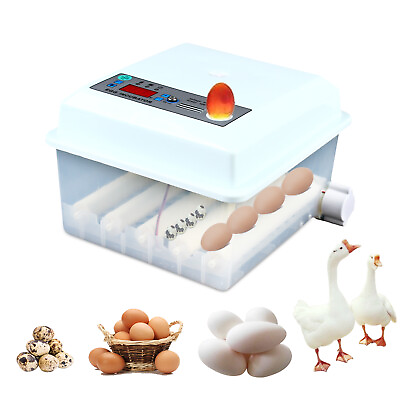 #ad 16 Eggs Fully Automatic Hatcher for Hatching Chicken Goose Egg Incubator 30W $43.70