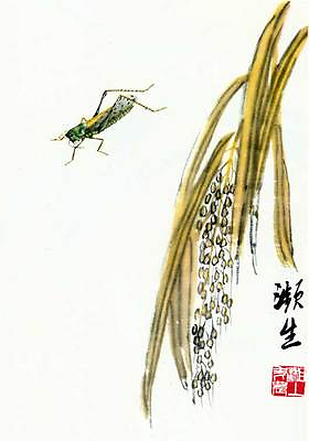 #ad Grasshopper 15x22 Chinese Print by Ch#x27;i Pai shih Asian Art $48.99