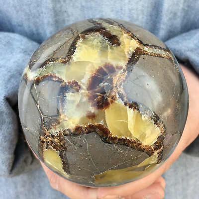 #ad Natural Dragon Septarian Sphere Quartz Crystal Ball Healing 1PC $53.01
