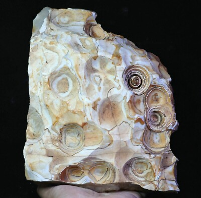 #ad 8 lb Natural Original Agate Quartz Crystal Stone Mineral Specimen Madagascar $243.59