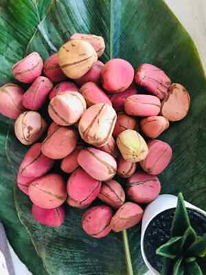 #ad African Kola Nut Freshly from Africa 04 Nuts per Pack High Quality GREAT $2.00
