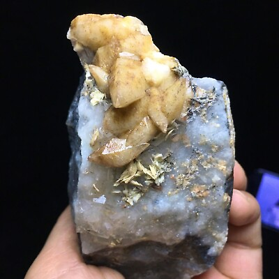 #ad 292g WOW Natural Yellow Dogtooth Calcite is Associated with Cubofluorite $40.70